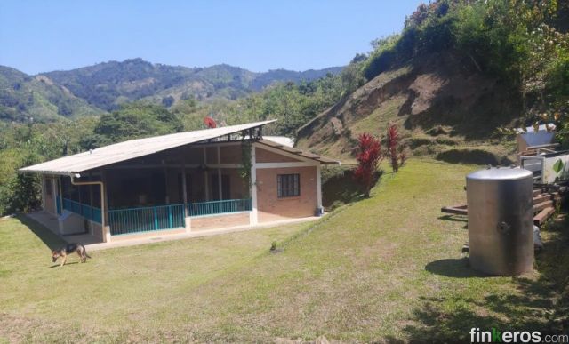 Finca la helenita - Finca en Belalcázar, Caldas